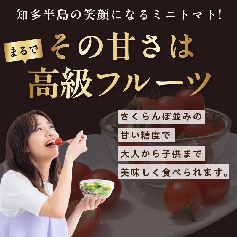 トマトFarm早川 トマトジュース　200ml×9本｜甘い 野菜ジュース 知多市