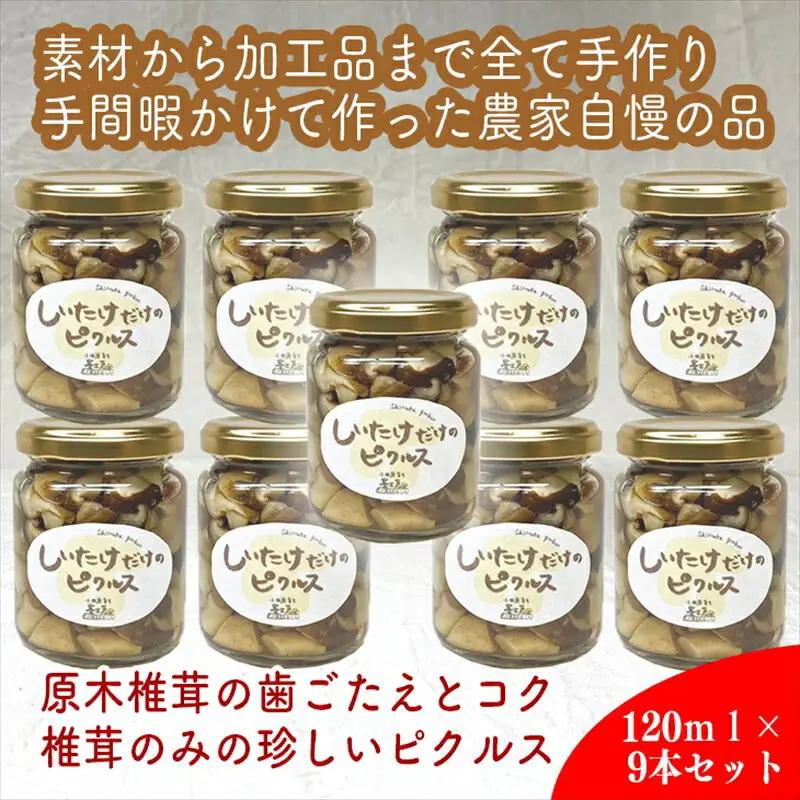 しいたけだけのピクルス 9個セット【 家庭用 自宅用 贈答品 贈答用 ギフト お取り寄せ お中元 お歳暮 贈り物 お祝い 神奈川県 小田原市 ピクルス ピクルス】