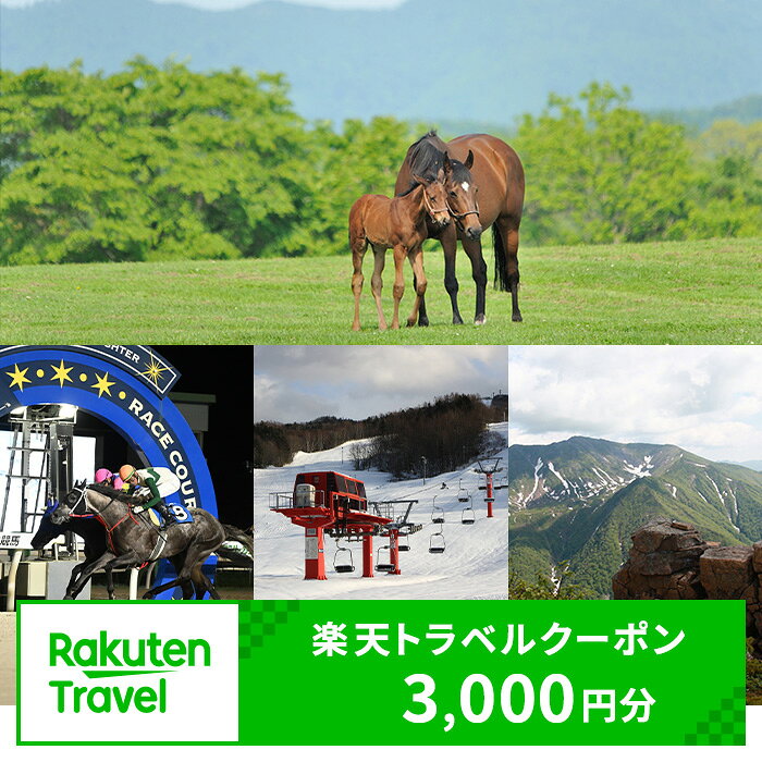【ふるさと納税】北海道日高町の対象施設で使える楽天トラベルクーポン寄付額10,000円（クーポン額3,000円）《寄付翌日を目途に付与いたします》