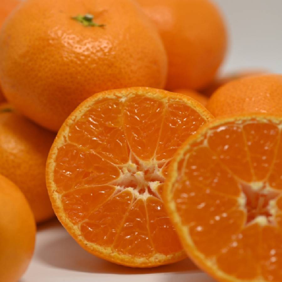 ＜玉津柑橘倶楽部＞【もったいない！を食べよう】「温州みかん」（南柑20号）５kg　　　