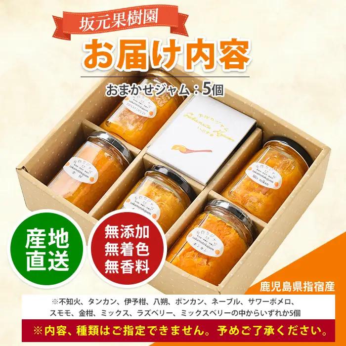 みかん農家坂元さんちの手作りジャム5個セット 無添加・無着色・無香料 坂元果樹園 IB043-001