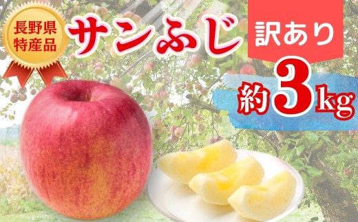 【2026年先行予約】サンふじ 約3kg  訳あり｜ 果物 フルーツ リンゴ 林檎 サンフジ さんふじ 千曲市 長野県 信州