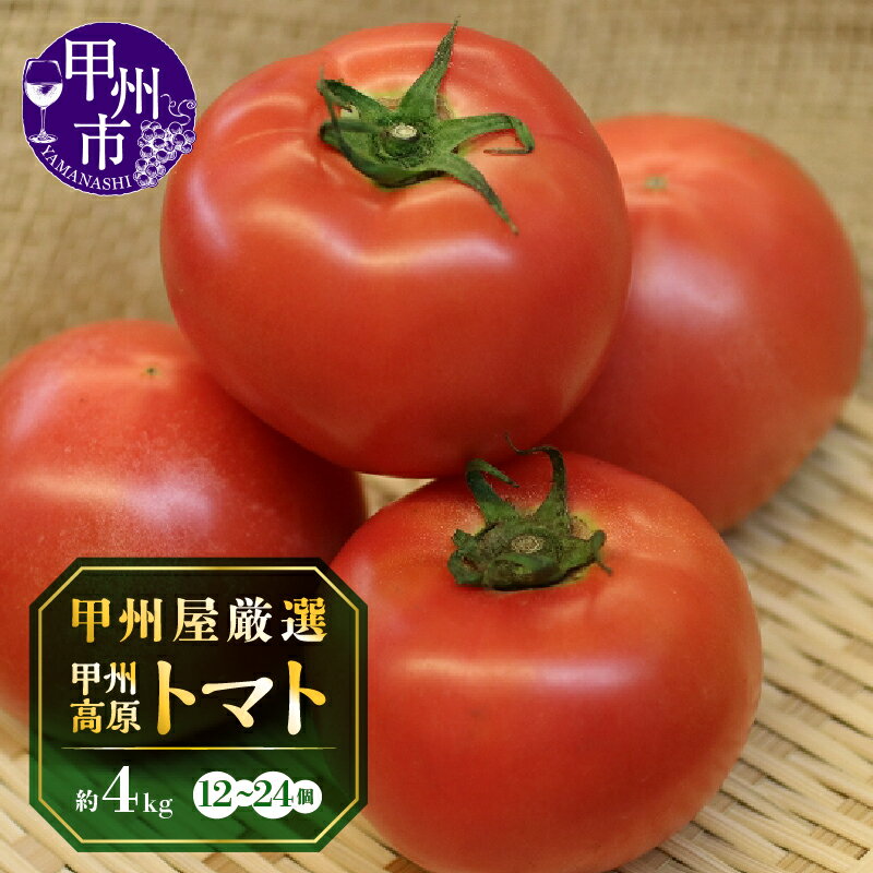 【ふるさと納税】 トマト 甲州高原 神金産 約4kg 12～24個 高原 露地栽培 季節限定品 新鮮 野菜 青果品 野菜類 2025年発送 8月 9月 10月 発送 甲州市 【B-405】