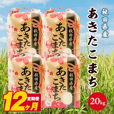 ふるさと納税 潟上市 【毎月定期便】秋田県産あきたこまち 白米 20kg(5kg×4袋)　全12回