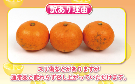 訳あり 完熟 プチ みかん 早生みかん 10kg 杉本屋 B018-143018