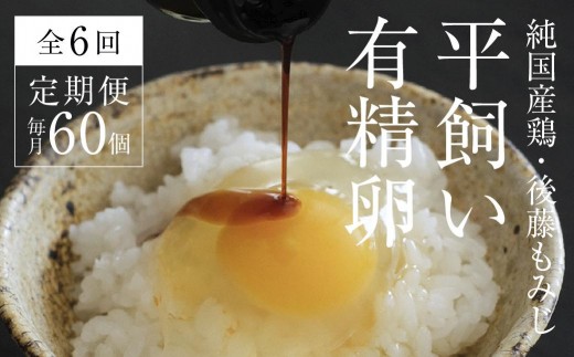 【全6回定期便】平飼い有精卵 60個《西粟倉村》【株式会社点々】t-SS-CpDA