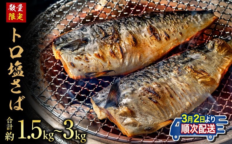 
            訳あり トロ 塩サバ フィレ 約1.5kg ～ 約3kg 鯖 さば わけあり 切り身 切身 塩さば 塩鯖 フィレ フィーレ 魚貝 魚介 人気 冷凍 冷凍食品 大容量 海鮮 家庭用 レシピ おかず おつまみ 惣菜 弁当 不揃い 規格外 傷 味噌煮 竜田揚げ 南蛮漬け グルメ 贈答 贈物 ギフト 長期保存 小分け 炊き込み お取り寄せ ふるさと納税 ふるさと納税鯖 送料無料 千葉県 銚子市 飯田商店
          