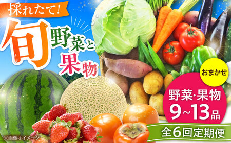 【全6回定期便】【数量限定】菊陽町特産品 「野菜・果物などの詰め合わせ」 / 新鮮 詰合せ フルーツ セット 旬 おまかせ にんじん 直売所 やさい くだもの 熊本県 特産品 菊陽町【有限会社さんふれあ】[BHAK008]