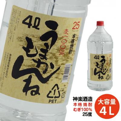 ふるさと納税 西都市 ビッグサイズ!麦焼酎25度4L神楽酒造『うまかもんね』[2222]