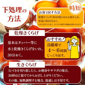【定期6回】乾燥きくらげ 8g×15P ともちゃん農園|定期便 乾燥きくらげ きくらげ 贈答用 乾燥 きくらげ 食物繊維 鉄分 カルシウム ビタミンD カリウム アミノ酸  高血圧予防 ふるさと 納税