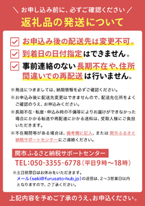 【2024年モデル】TOUR B XS イエロー 4ダース ～ゴルフボール ブリヂストン ツアービー まとめ買い 大量～