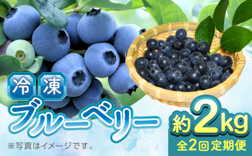 【先行予約】【8月より順次発送】【全2回定期便】【加工用】冷凍ブルーベリー 2kg【「のん気・元気」百姓家】 [YAL028]