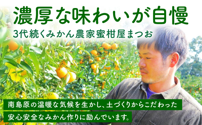 【2026年1月～発送】青島 温州みかん 10kg / みかん ミカン 蜜柑 甘い フルーツ 果物 / 南島原市 / 蜜柑屋まつお [SCQ003]