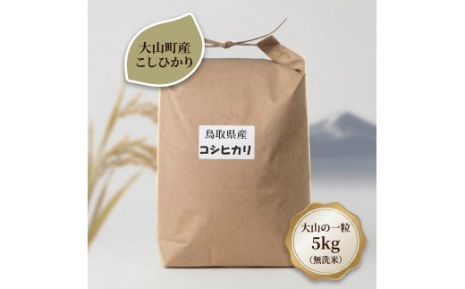 大山町産こしひかり【大山の一粒】5ｋｇ（無洗米）