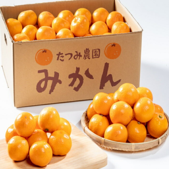 【ふるさと納税】【先行予約】辰見農園の完熟みかん　10kg 佐賀県 太良町 N151