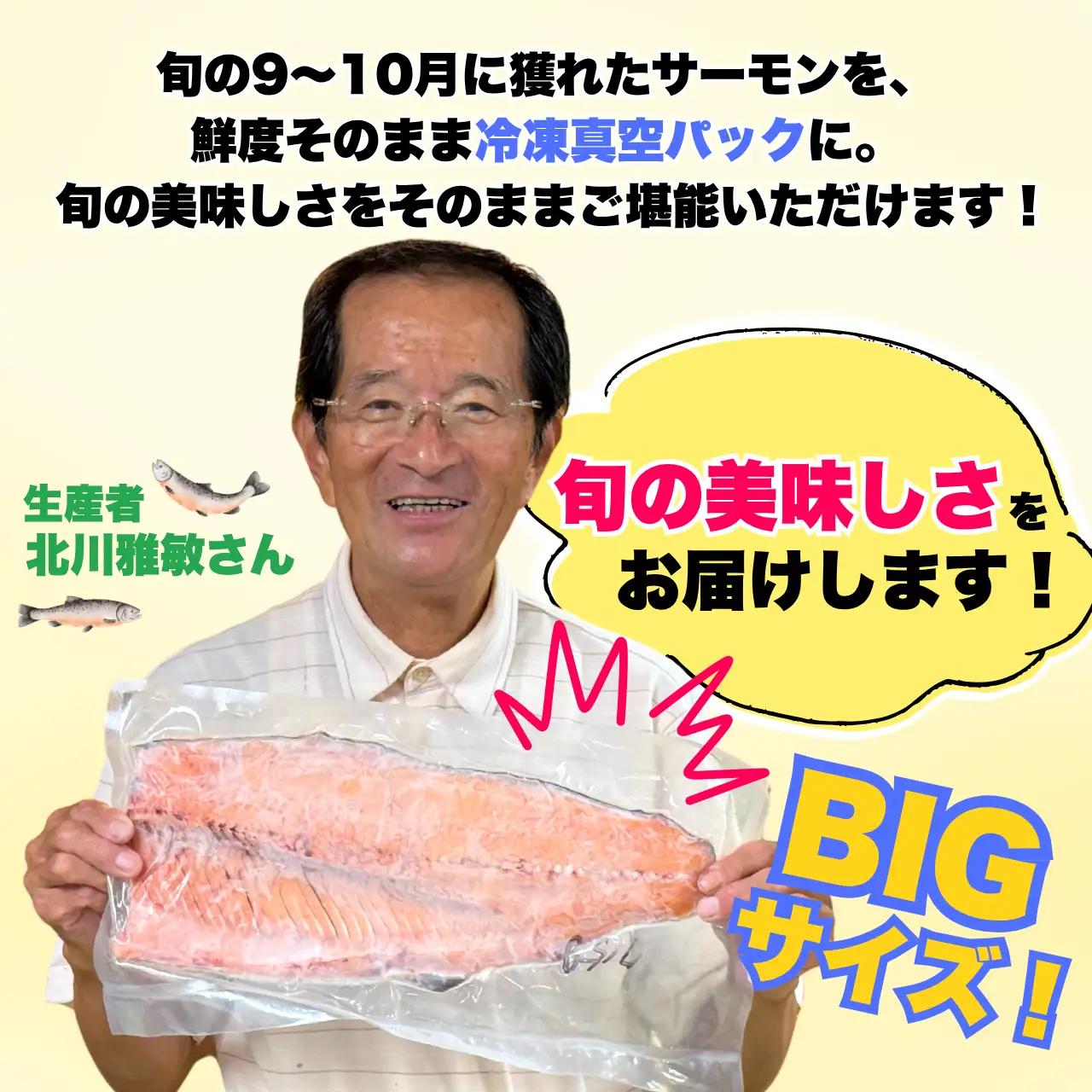 サーモン 半身 800g 冷凍 5枚 [I-050001]