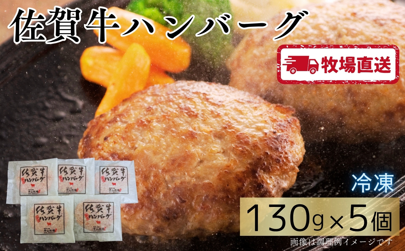 
            佐賀牛ハンバーグ5個 ［A0102-0002］
          