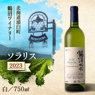 ふるさと納税 浦臼町 鶴沼収穫ワイン 【鶴沼ソラリス】2023年産 白ワイン・辛口