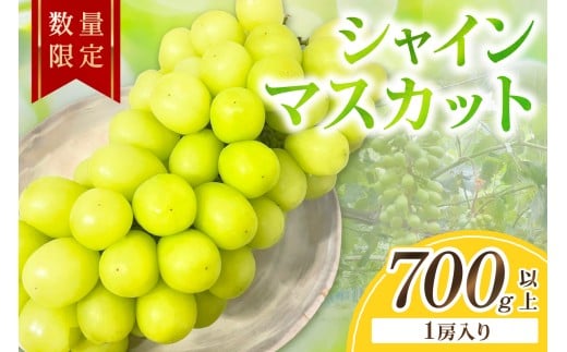 【先行予約／数量限定50】シャインマスカット 700g以上（1房入り）（2026年9月上旬～発送）　フルーツ 果物 くだもの マスカット ぶどう 贈り物 京都 京丹後産　FK00016