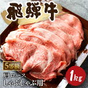 【ふるさと納税】5等級 飛騨牛霜降り しゃぶしゃぶ 500g × 2 計1kg 牛肉 和牛 カタロース [Q2479_sha_5_a5] 65000円