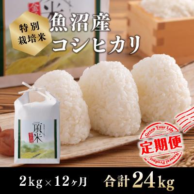 ふるさと納税 十日町市 【毎月定期便】【特別栽培米】頂米 金兵衛 魚沼産コシヒカリ(精米)2kg 全12回