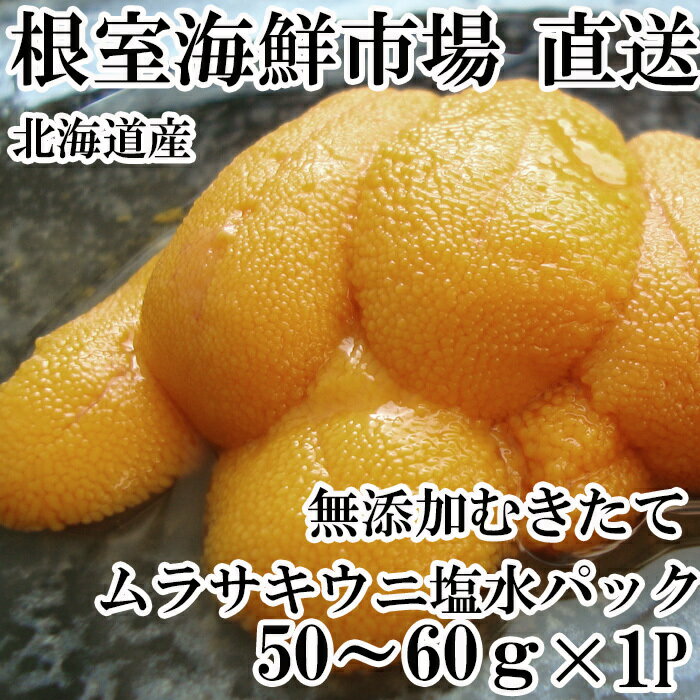 【ふるさと納税】根室海鮮市場＜直送＞無添加むきたてムラサキウニ塩水パック[5月初旬以降発送] (50〜60g×1P) (50〜60g×2P) (50〜60g×4P) (50〜60g×6P) (90〜100g×2P) うに 雲丹 北海道 根室市