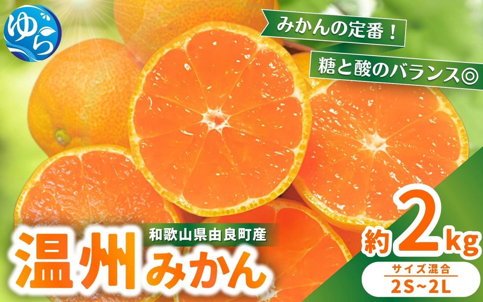 
            【先行予約】農家直送 和歌山県由良町産 温州みかん 約2kg 2S～2Lサイズ混合 ※2025年11月中旬頃～2025年12月中旬頃に順次発送 / 農家直送 くだもの  果実  柑橘 果物 フルーツ 国産 和歌山県 由良町 ご家庭用 人気 おすすめ【nktn015】
          