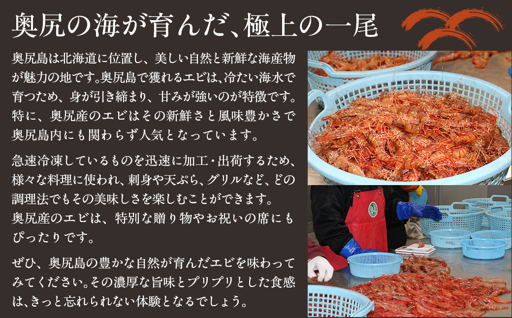 奥尻島産  冷凍縞エビ 250ｇ×2パック OKUJ004