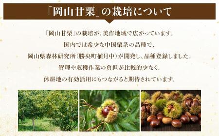 岡山甘栗・ギフト2パック詰合せセット【010-a013】