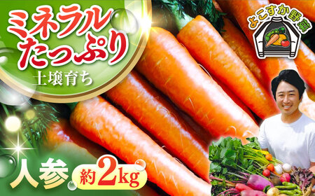 【先行予約】人参セット 約2kg 【鈴也ファーム】[AKCE013]