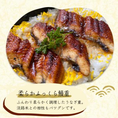 ふるさと納税 淡路市 謹製　淡路牛と島玉葱・彩り野菜のステーキ重・ふっくら鰻重(淡路産コシヒカリ使用)　as24003 |  | 02