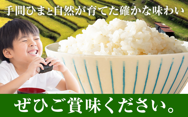 清流と寒暖差が生む村自慢の「棚田米」 5kg《10月上旬より発送》徳島県 佐那河内村 棚田米 米 白米