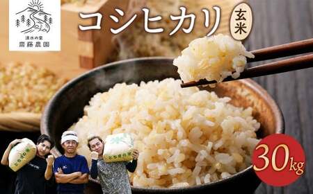 令和7年産新米 コシヒカリ玄米30kg ｜ 米 お米 国産 栃木県 塩谷町 ※2025年12月上旬～2026年9月中旬頃に順次発送予定