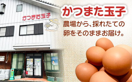 卵 中玉パック 30個 (25個+割れ保証5個) [AZAQ001] 卵 たまご