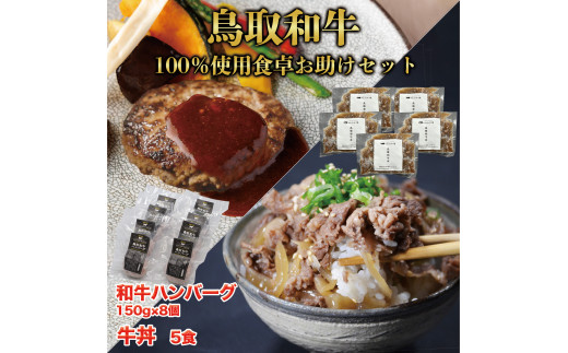 DN-12　鳥取和牛100％使用食卓お助けセット