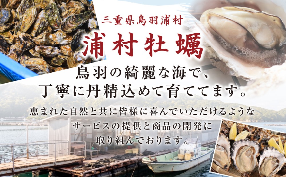 鳥羽の綺麗な海で育った大福牡蠣 岩ガキ 浦村牡蠣