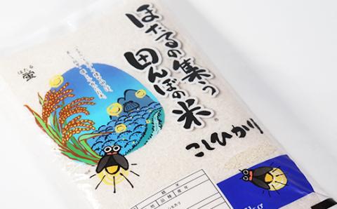 ほたるの集う田んぼの米≪令和5年産新米≫ こしひかり 6ヵ月定期便