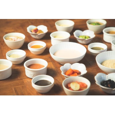 介護用GSミキサー食・1週間Aセット(3食×7日間分)【配送不可地域：離島】【1650120】