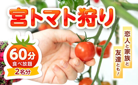 宮下農園の宮トマト狩り 2名分（60分食べ放題）/ ミニトマト ミニとまと とまと狩り トマト とまと プチトマト 体験プラン 収穫体験 家族 子連れ イベント ファミリー 収穫 カップル / 諫早市 / 宮下農園[AHCG035]