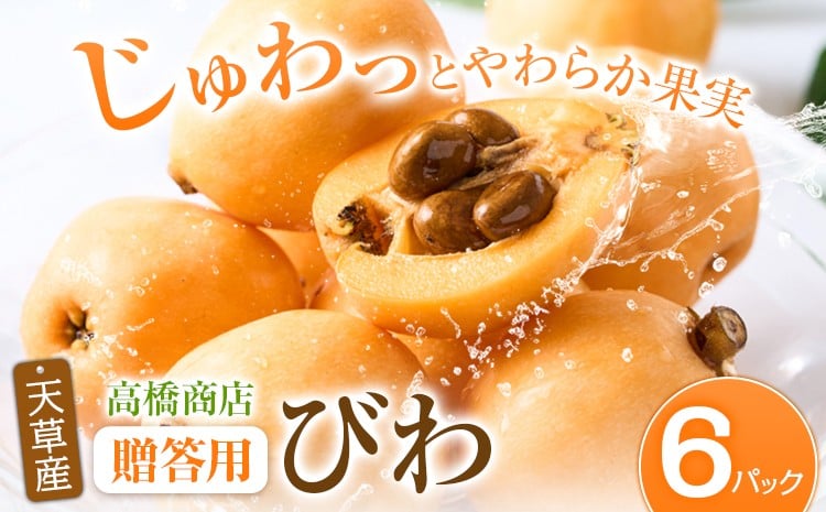 
            【先行予約】天草産 びわ 6パック 贈答用 高橋商店《2026年5月中旬-6月中旬頃出荷》熊本県 苓北町 フルーツ 枇杷 柑橘 果物【配送不可地域あり】
          