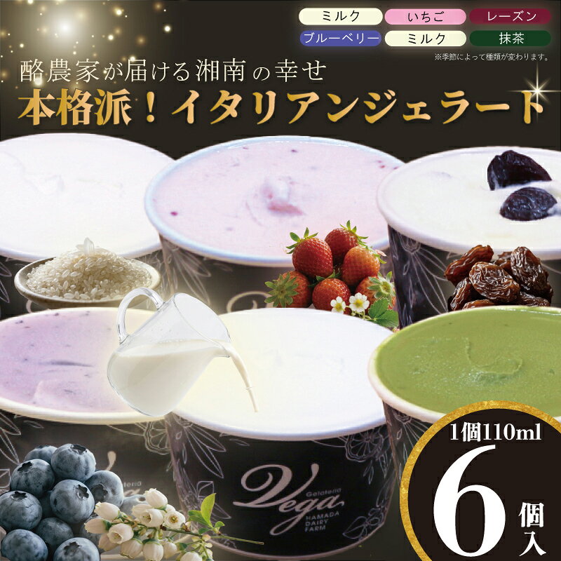 【ふるさと納税】 アイス ジェラート アイス 6個 神奈川県産 生乳 ジェラートセット スイーツ ミルク 限定 カップアイス カップ 詰め合わせ 冷凍 おまかせ ストロベリー ブルーベリー 抹茶 レーズン ベリー リゾ 贈り物 お菓子 おやつ 神奈川県 平塚市