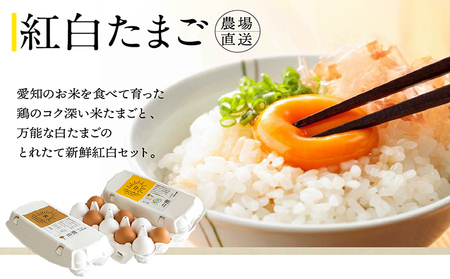 ココテラスの新鮮な卵とお菓子の堪能セット カステラ マドレーヌ クッキー マヨネーズ 醤油 たまご専用醤油 調味料 料理 赤卵 白卵 タマゴ 卵 鶏卵 焼き菓子 洋菓子 グルメ スイーツ お取り寄せ 
