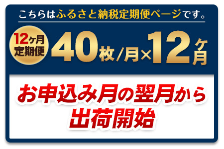 【12ヶ月定期便】 訳あり 一番摘み 有明海産 海苔 40枚  《お申込み月の翌月から出荷開始》 熊本県産（有明海産） 海苔 定期便 全形40枚入り 長洲町