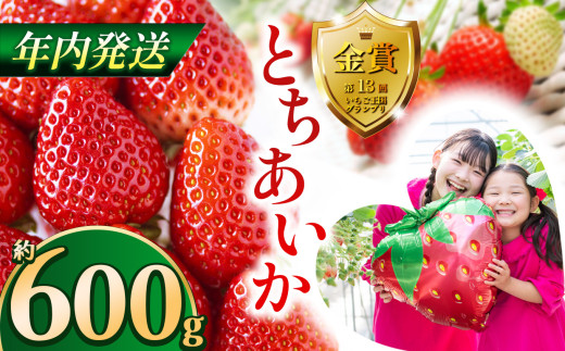 【先行予約】【12月発送】とちあいか約600g | 送料無料 とちあいか いちご フルーツ 甘い ジューシー苺 ｲﾁｺﾞ ハート ハート型 ﾊｰﾄ 断面 果物 おいしい 栃木県 下野市