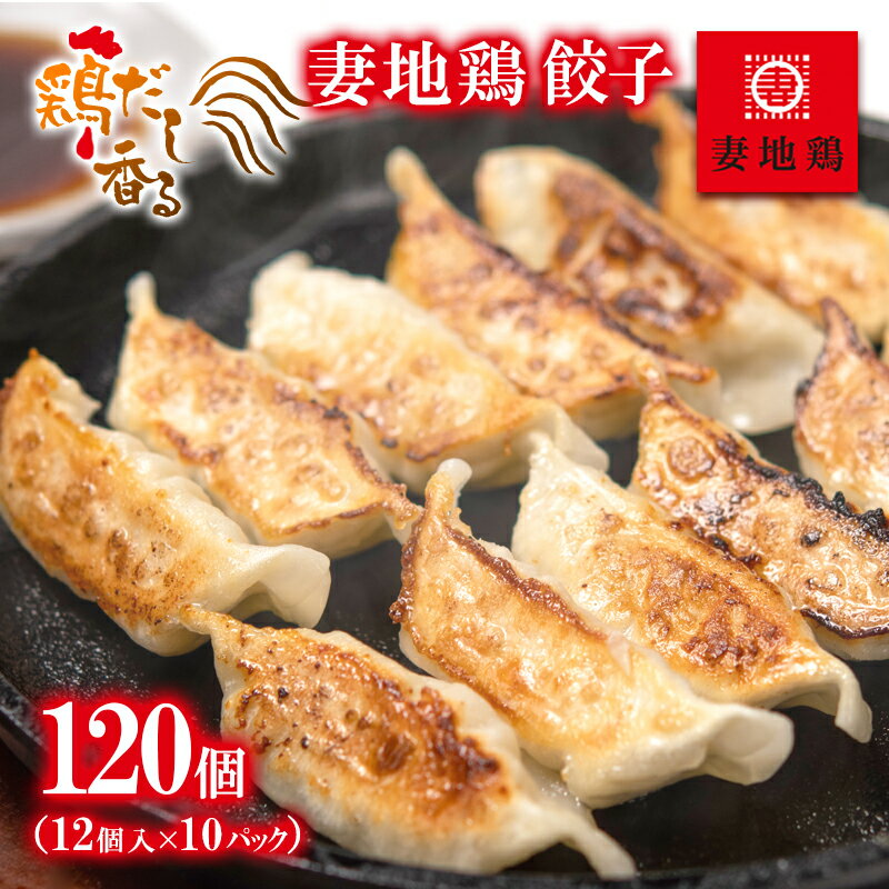 【ふるさと納税】「妻地鶏」鶏だし香る「鶏ぎょうざ」120個 （12個入×10P）国産 ふるさと納税 宮崎県 西都市 さいと サイト 餃子 鶏肉 HACCPに基づく衛生管理＜8-23a＞