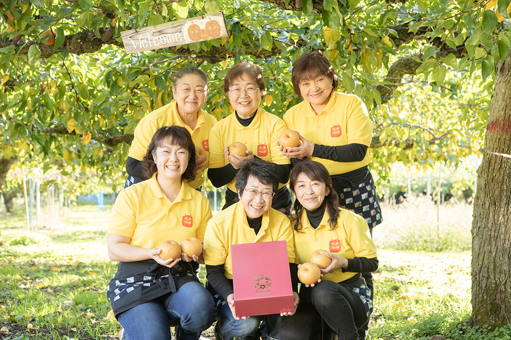 【令和8年度 早期受付】南水 5kg 10玉～14玉 梨 なし ナシ 秋田県 男鹿市 旬の果物 フルーツ