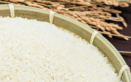 【6回定期便】 精白米(にこまる) 10kg 轟峡渓流米 / 米 白米 精白米 新米 / 轟名水ファーム高来 / 諫早市[AHFF011]