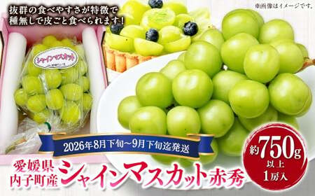 内子町産 シャインマスカット 赤秀 1房入 約750g以上【2026年8月下旬～9月下旬迄発送予定】【えひめの町（超）推し！（内子町）】（447）