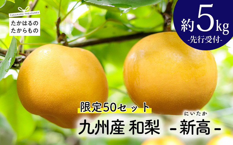 
            【先行受付・限定50箱】九州産 和梨「新高(にいたか)」 5kg [季節限定 期間限定 果物 フルーツ 国産 日本産 ワンストップオンライン] TF0313-P00025
          