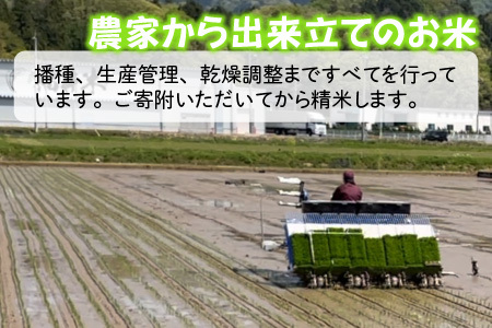 【令和7年産】 おおかわさんちのこしひかり 5kg 精米 コシヒカリ [A-10810]